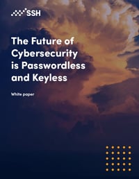 Future-of-Cybersecurity-is-Passwordless-and-Keyless-type-optimized