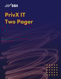 PAM-IT-2pager