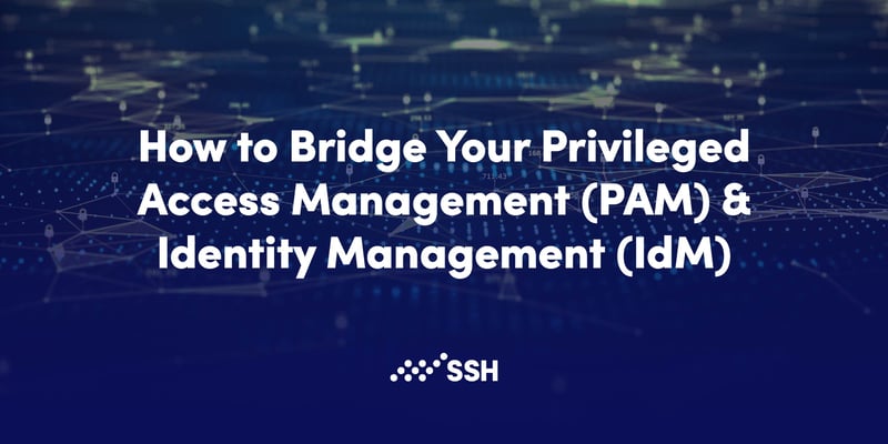 privileged access management and identity management