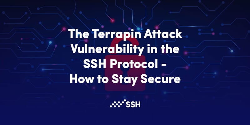 terrapin vulnerability