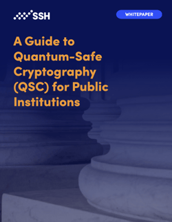 QSC_for_public_institutions_WP