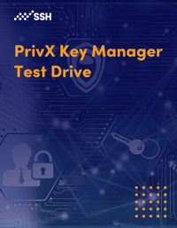 key-manage-test-drive-thumb