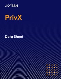 privx-it-datasheet