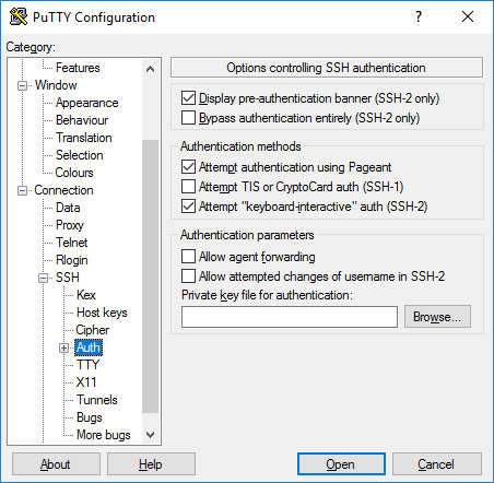 PuTTY authentication public key options