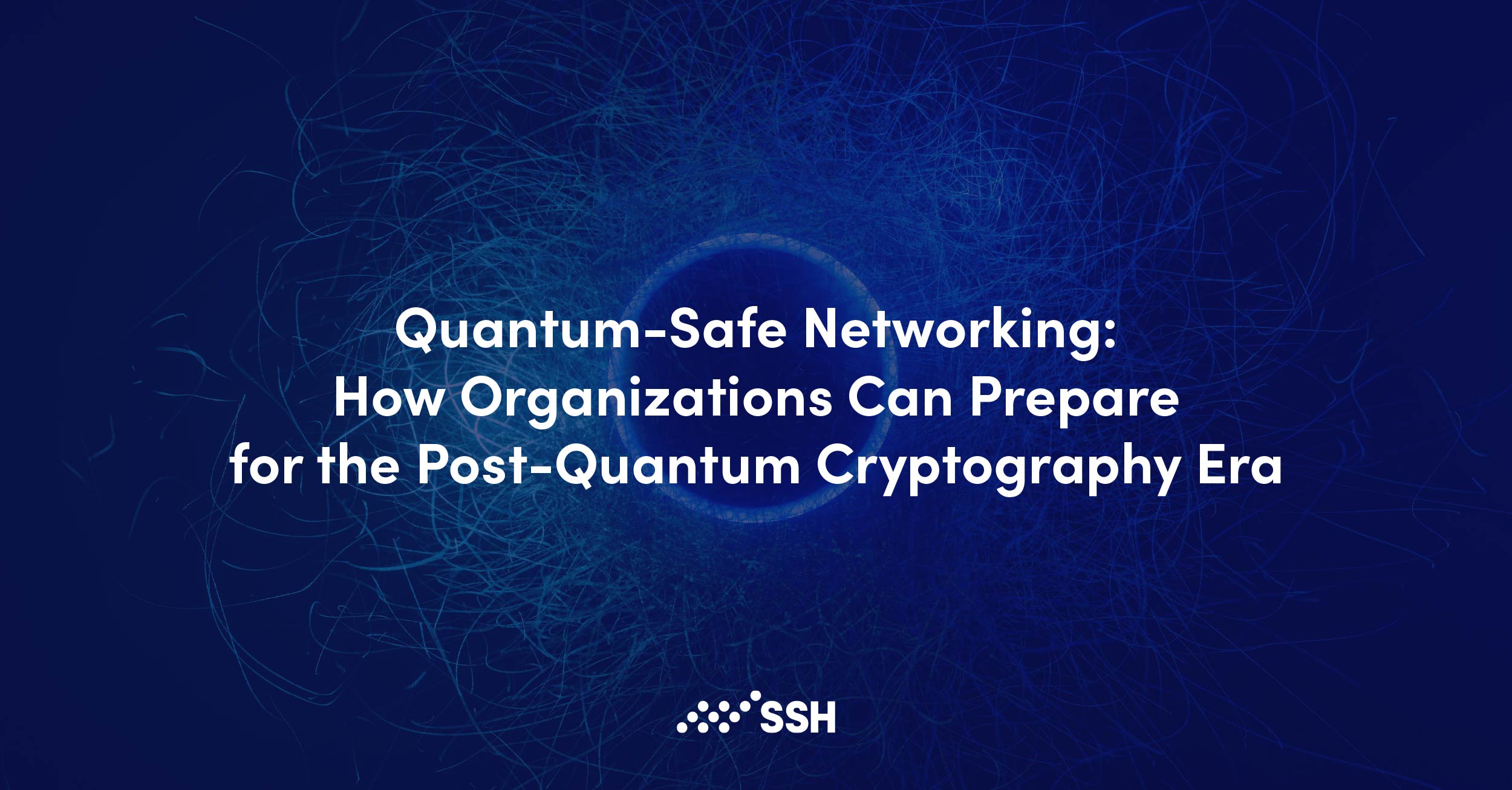 Quantum-Safe Networking: How Organizations Can Prepare for the Post-Quantum Cryptography Era