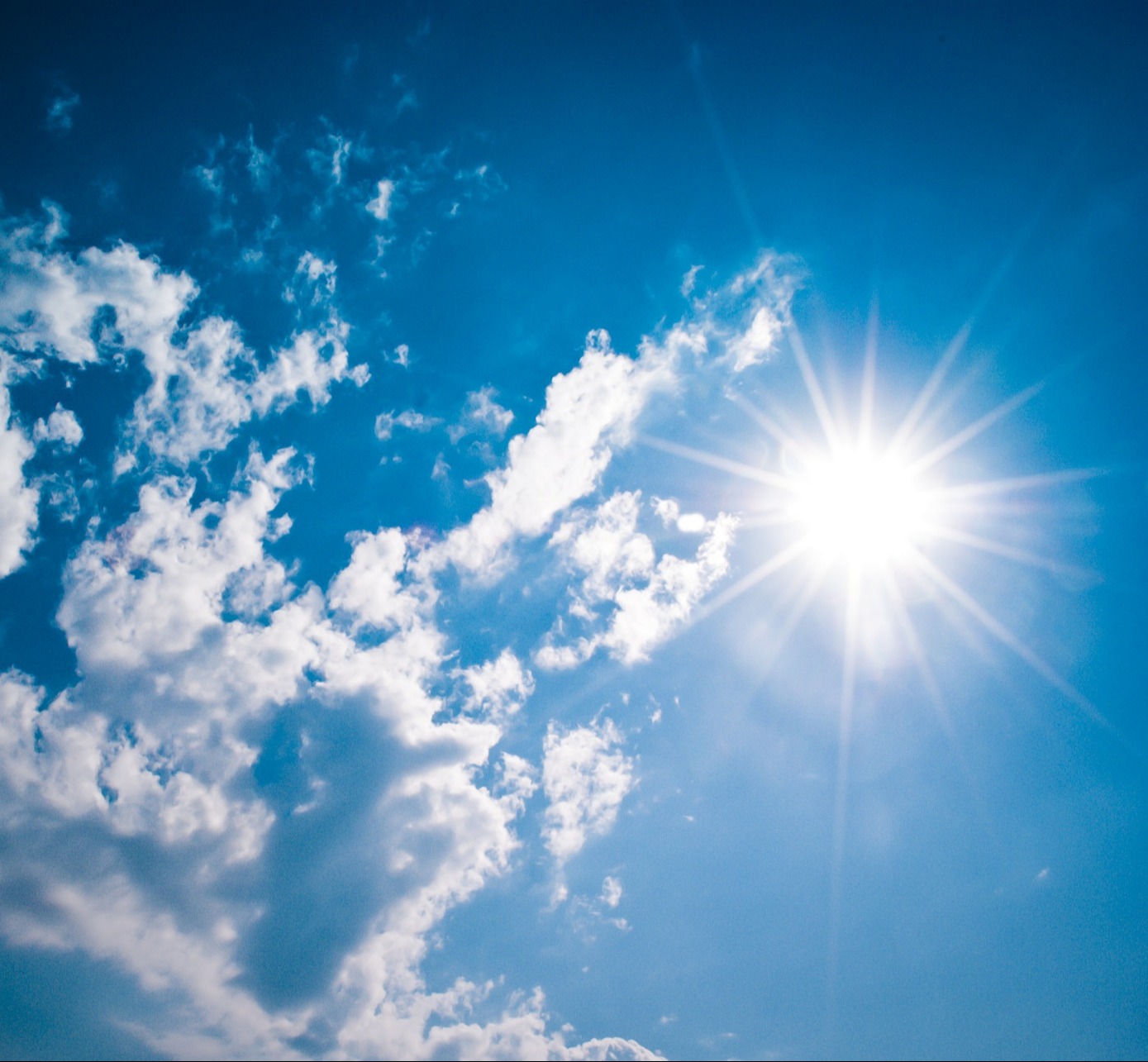 PrivX® Free – Access management for zero bucks and zero headaches